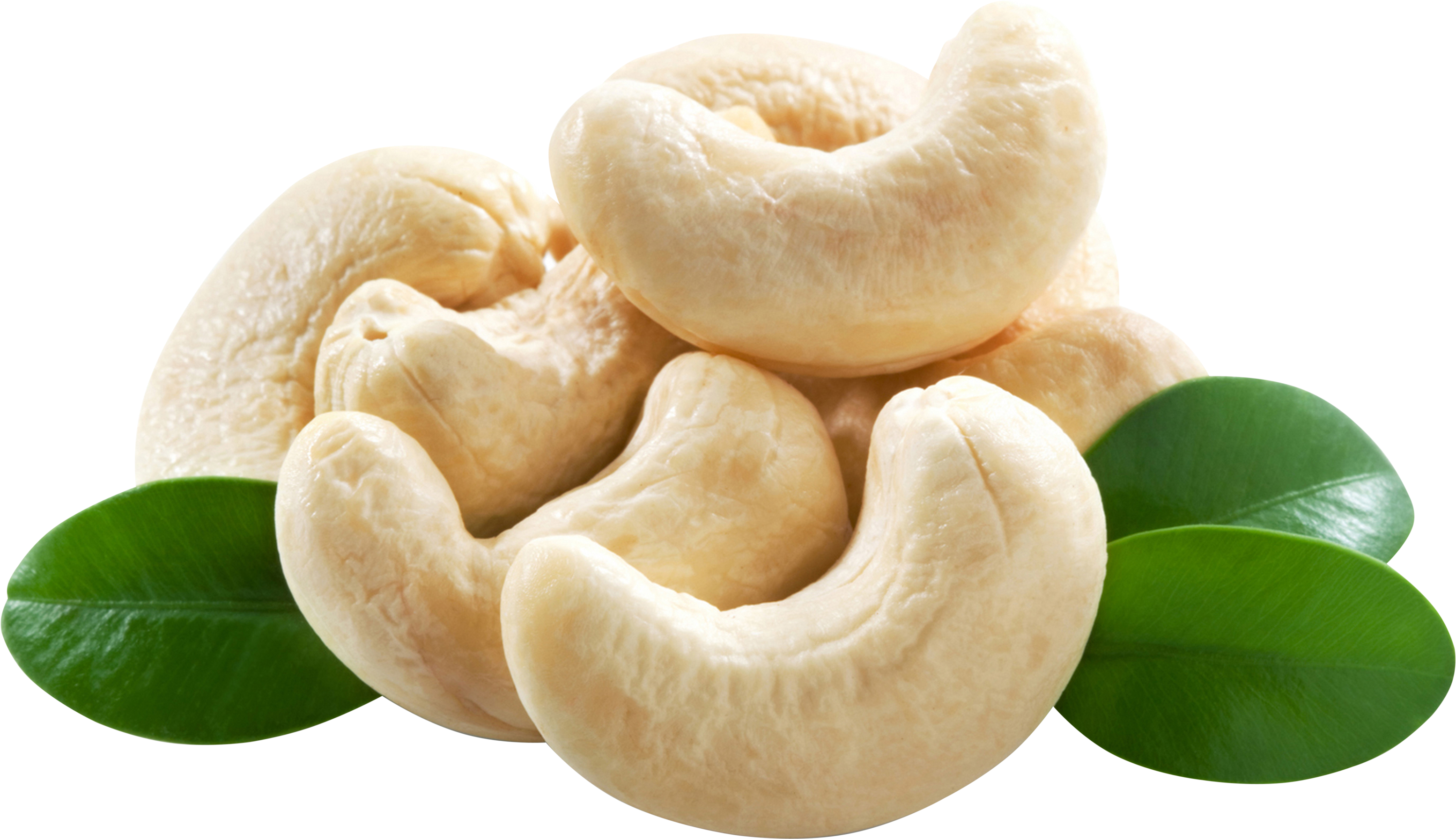 Nut Cashew Organic PNG Free Photo Transparent PNG Image