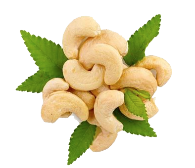 Cashew Png Hd Transparent PNG Image