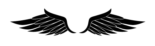 Half Wings PNG Free Photo Transparent PNG Image