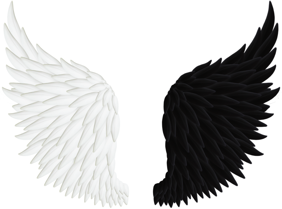 Half Wings Image Free HQ Image Transparent PNG Image