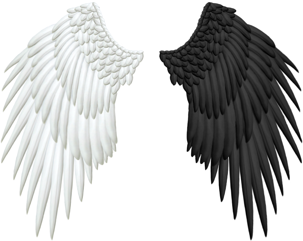 Half Wings PNG Free Photo Transparent PNG Image