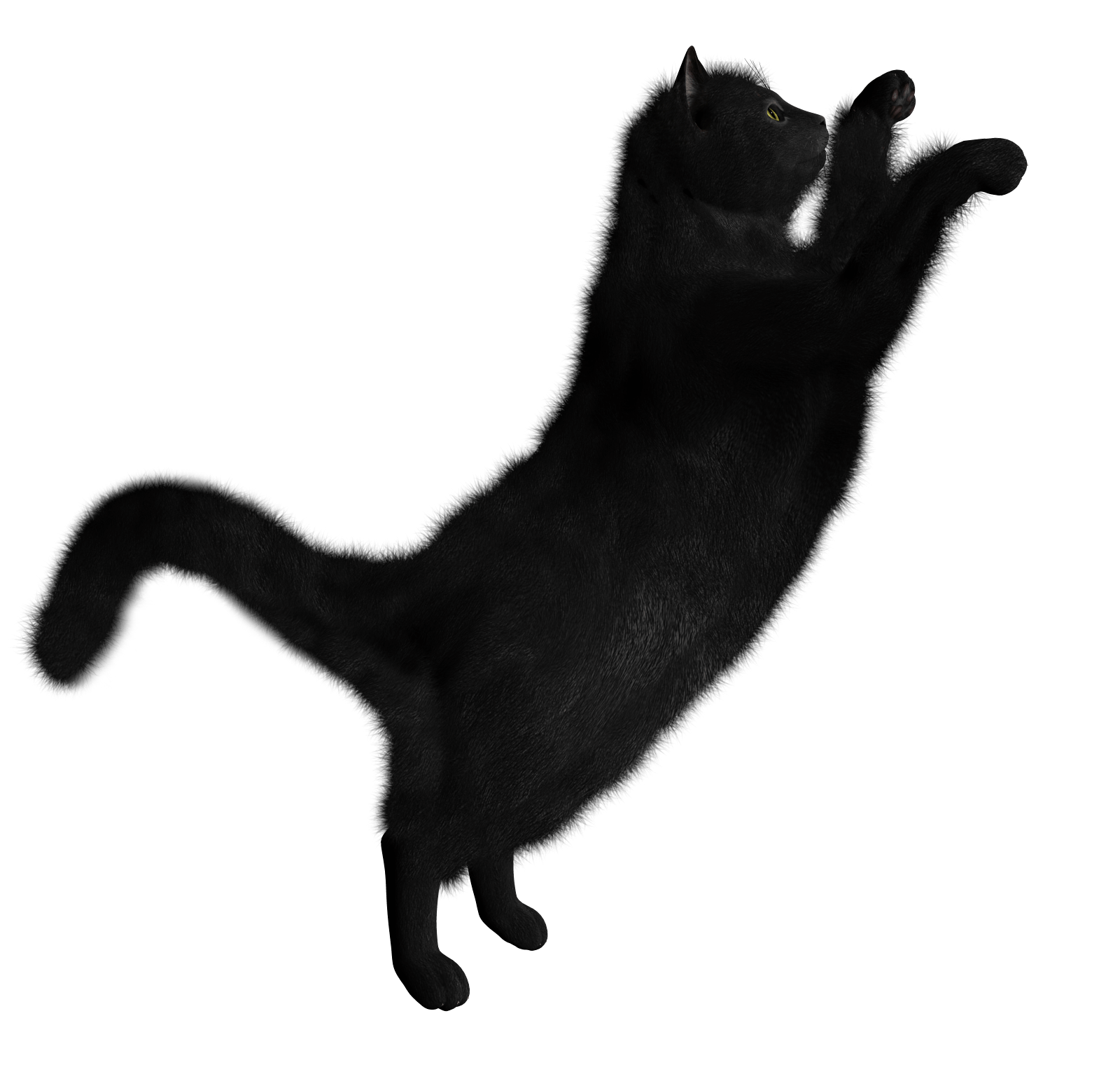 Black Cat Png Image Transparent PNG Image