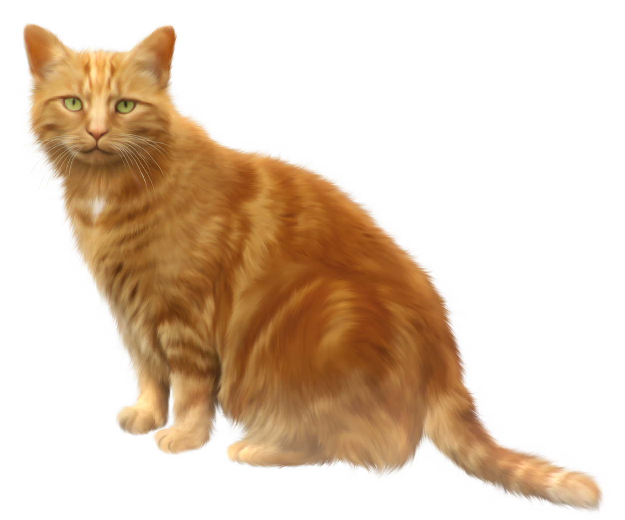 Cat Png 11 Transparent PNG Image