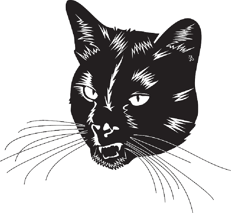 Vector Cat Free Download Image Transparent PNG Image