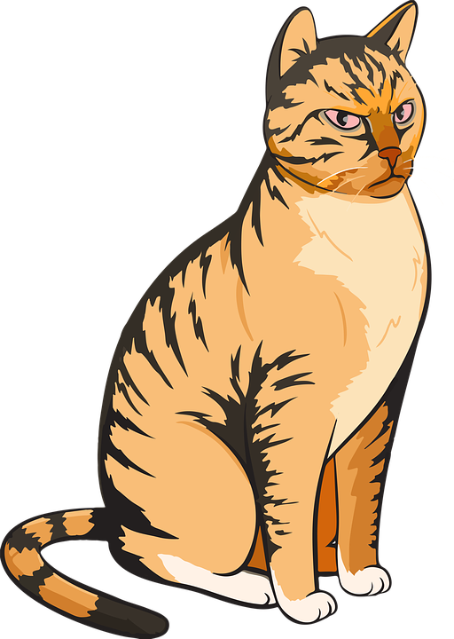 Wild Vector Cat PNG Image High Quality Transparent PNG Image