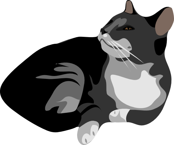 Wild Vector Cat Download HQ Transparent PNG Image