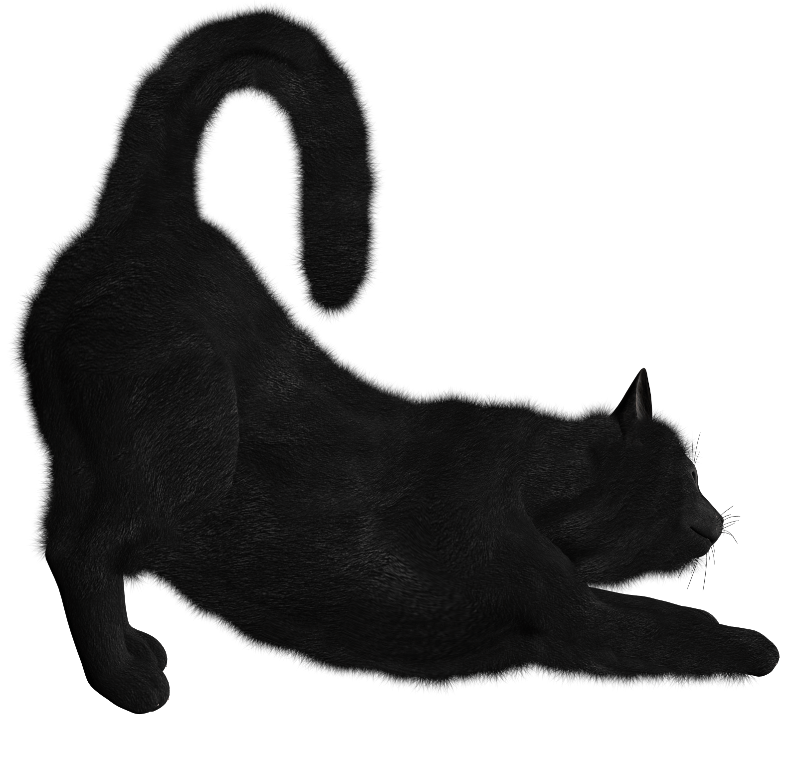 Black Cat Png Image Transparent PNG Image