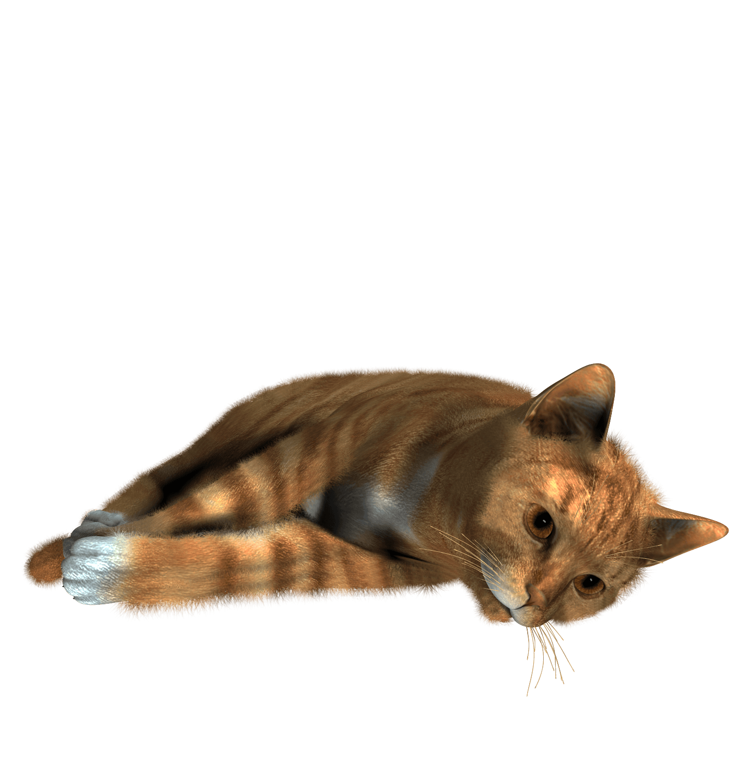 Cat Png Image Transparent PNG Image