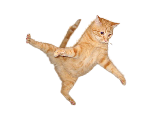 Cat Jump Transparent PNG Image