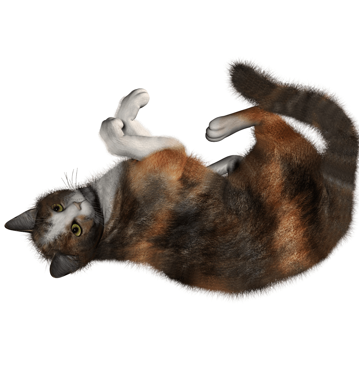 Cat Png Image Transparent PNG Image