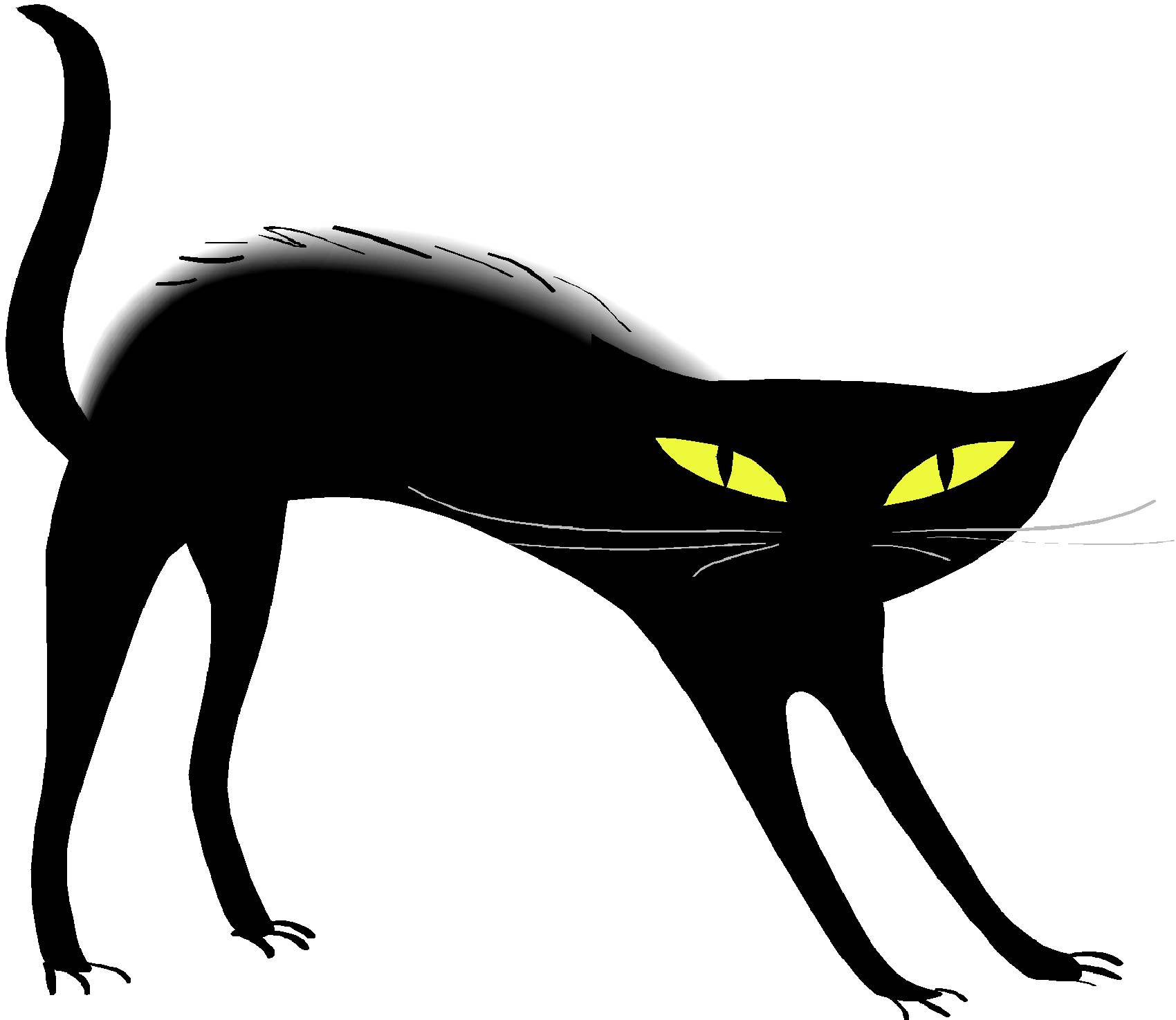 Black Cat Transparent PNG Image