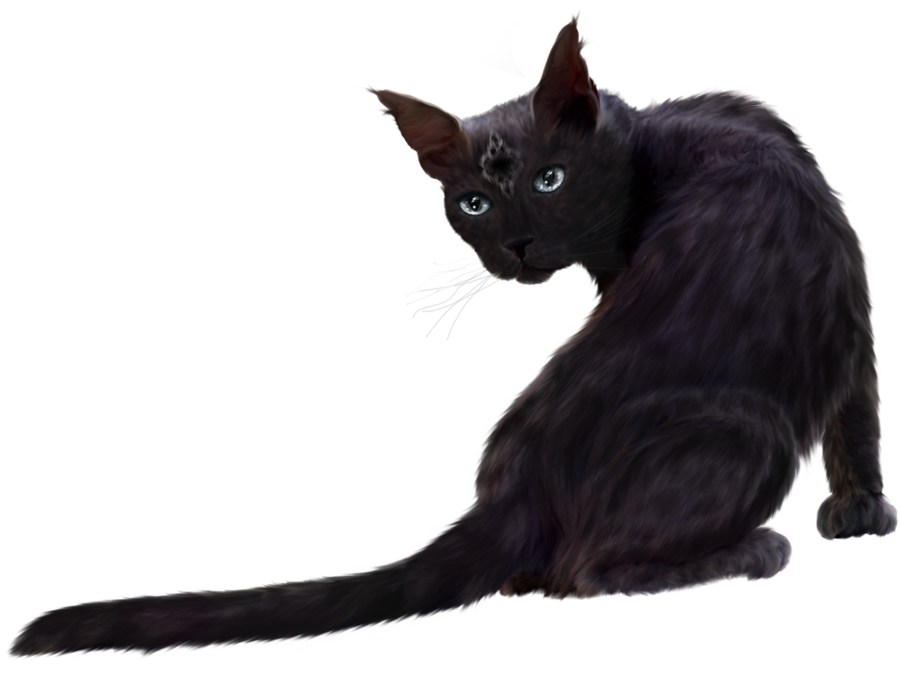 Black Cat Clipart Transparent PNG Image