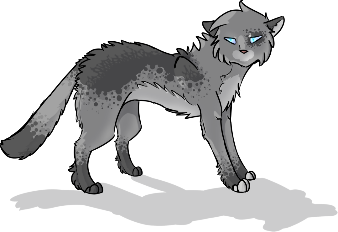 Whiskers Fox Cat Lion Wolf Red Transparent PNG Image