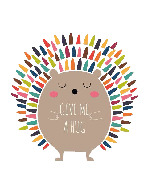 Hug Text Material Cat European Hedgehog Transparent PNG Image