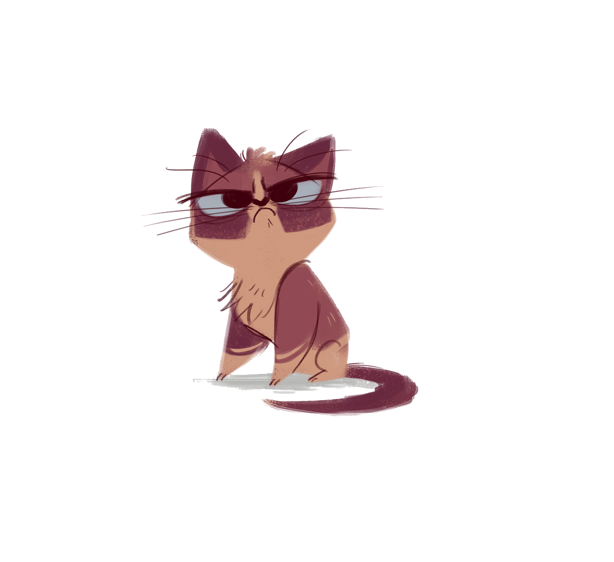 Pink Sized Medium Cat Snowshoe To Cats Transparent PNG Image