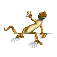 Lizard PNG Category