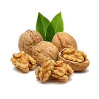 Walnut PNG Category