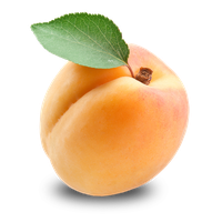 Apricot PNG Category