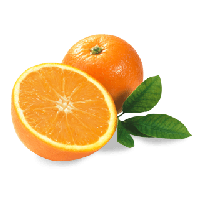 Orange PNG Category