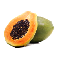 Papaya PNG Category