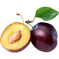 Plum PNG Category