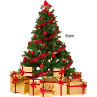 Christmas Tree PNG Category