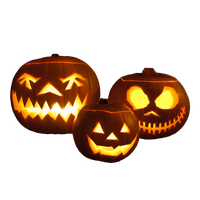 Pumpkin PNG Category