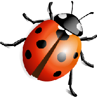 Ladybug PNG Category