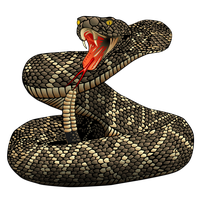 Rattlesnake PNG Category