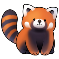 Red Panda Image