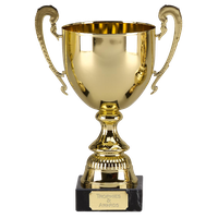 Trophy PNG Category