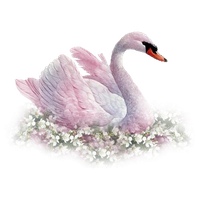 Swan PNG Category