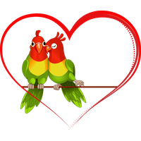 Love Birds PNG Category