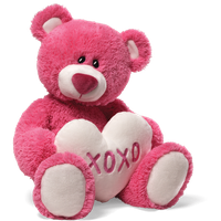 Teddy Bear PNG Category