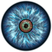 Eye PNG Category