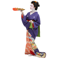 Geisha PNG Category