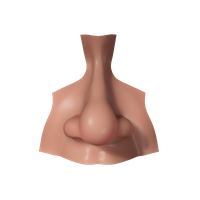 Nose PNG Category