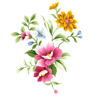 Flower PNG Category