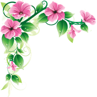 Flowers Borders PNG Category