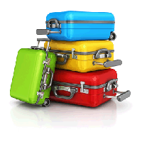 Luggage PNG Category