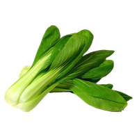 Bok Choy PNG Category