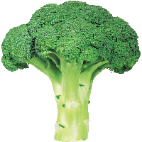 Broccoli Image