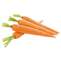 Carrot Image