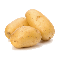 Potato Image