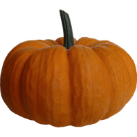 Pumpkin PNG Category