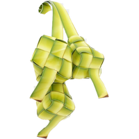 Ketupat PNG Category