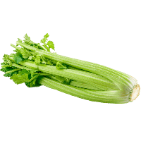 Celery PNG Category