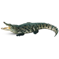 Crocodile PNG Category