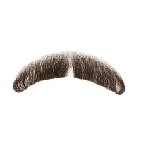 Moustache PNG Category