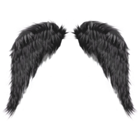 Dark Angel PNG Category